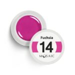 14 Fuchsia