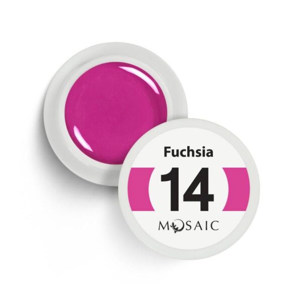 14 Fuchsia