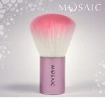 dusterbrush