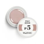 P5 Pale_Beige