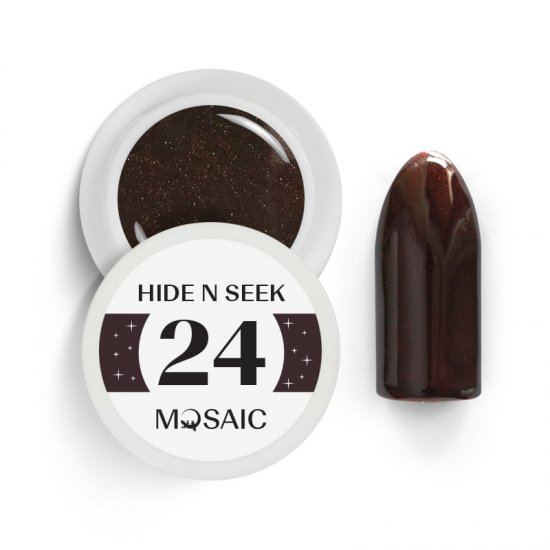 24 Hide and Seek