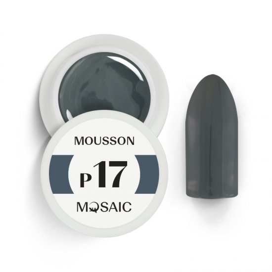 P17 Mousson