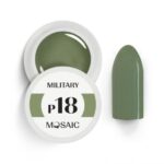 P18 Military NEW
